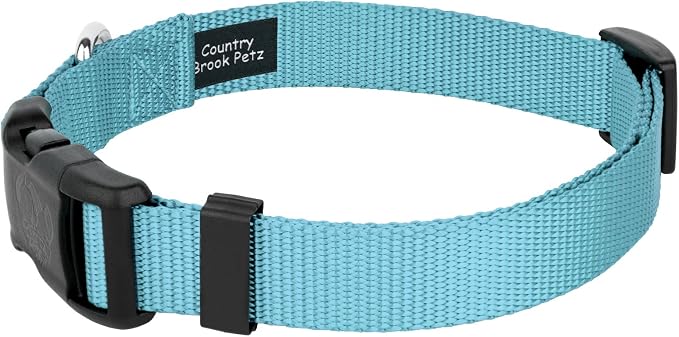 Country Brook Petz - Everyday Nylon Dog Collar and Leash - 10+ Cool Colors (3/4 Inch, Small, Ocean Blue)