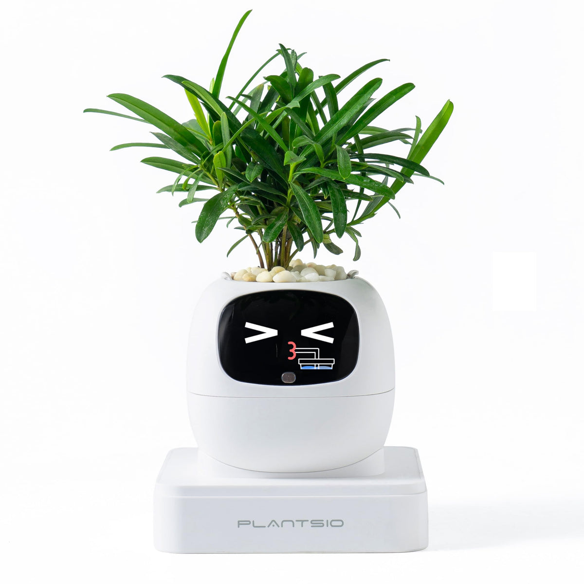 PLANTSIO Ivy Interactive AI Desk Companion, Smart Plant Pet with 100+ Expressions, Cute Indoor Planter for Office Decor, Unique Gift for Plant Lovers & Coworkers(Ivory)