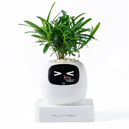 PLANTSIO Ivy Interactive AI Desk Companion, Smart Plant Pet with 100+ Expressions, Cute Indoor Planter for Office Decor, Unique Gift for Plant Lovers & Coworkers(Ivory)
