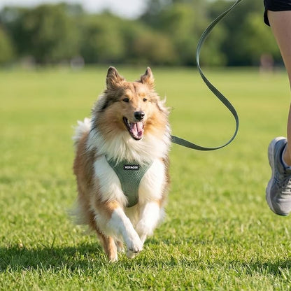 Best Pet Supplies Voyager Step-in Air All Weather Mesh Harness and Reflective Dog 5ft Leash Combo with Neoprene Handle, for Small, Medium and Large Breed Puppies - Moss Green, Large