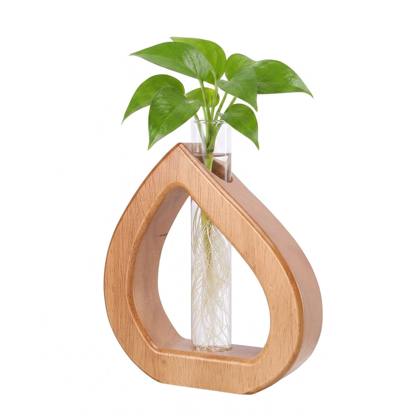 Chonsun Propagation Stations Planter Terrariums Wall Hanging Test Tube Desk Decorations with Wooden Stand Plant Terrarium Office Decor Gifts for Plant Lover Gifts