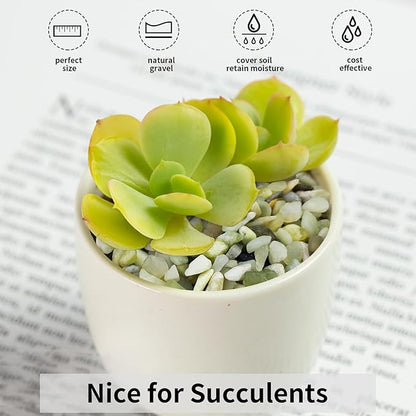 FANTIAN 5 lbs Jade Gravel Small Pebbles for Indoor Plants, Decorative Rocks for Plants Succulents Cactus Bamboo Vases Filler and Potted Drainage Gravel