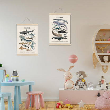 DOI-LANEE Shark Poster Hanger Frame, Set of 2 Shark Canvas Wall Art 16x12 Inch, Kids Educational & Learning Posters, Ocean Room, Sea Animal Decor for Playroom Classroom, Ocean Animals Wall Decor