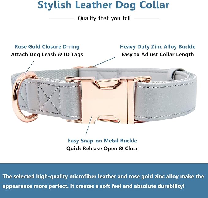 Soft Leather Dog Collar and Leash (6.6') Set - Stylish Rose Gold Heavy Duty Metal Buckle, 4 Adjustable Lengths Leash for Small Medium Large Dogs - Comfortable & Easy to Clean Grey XS(8"-12")