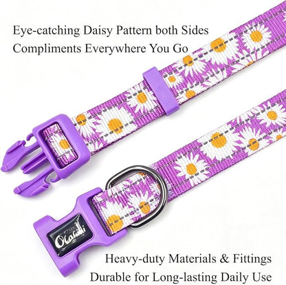 Dog Collar Leash Set, Floral Pattern, with Safety Reflective Strips, 5 ft Matching Leash, Neoprene Padded Handle, Adjustable 4 Sizes for Small Medium Large Dogs.(L, Purple Daisy)
