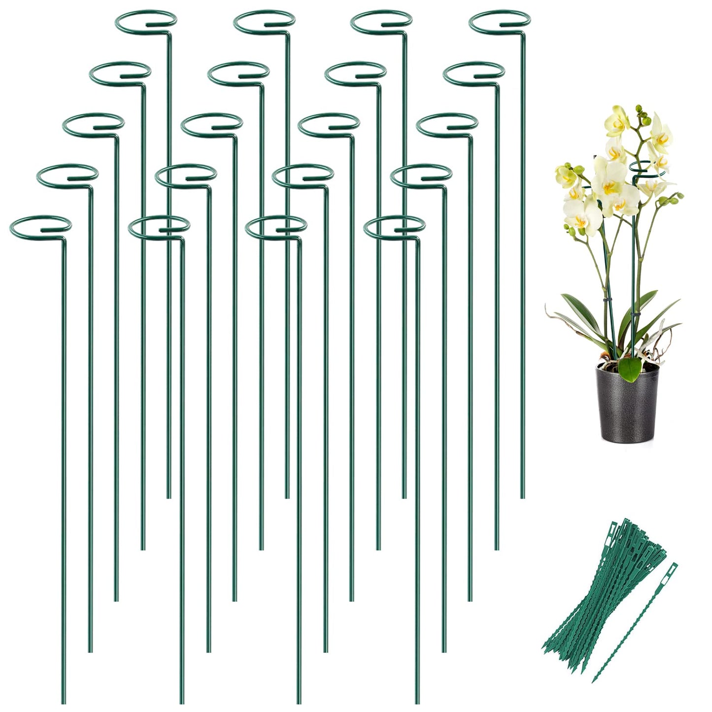 Joyhalo 20 Pack Plant Support Stakes 24 Inch, Plant Stakes, Flower Stakes with 24 Twist Ties, Garden Sticks for Plants Iris, Dahlia, Gladiolus, Amaryllis, Rose, Sunflower, Tomato, Sapling Etc
