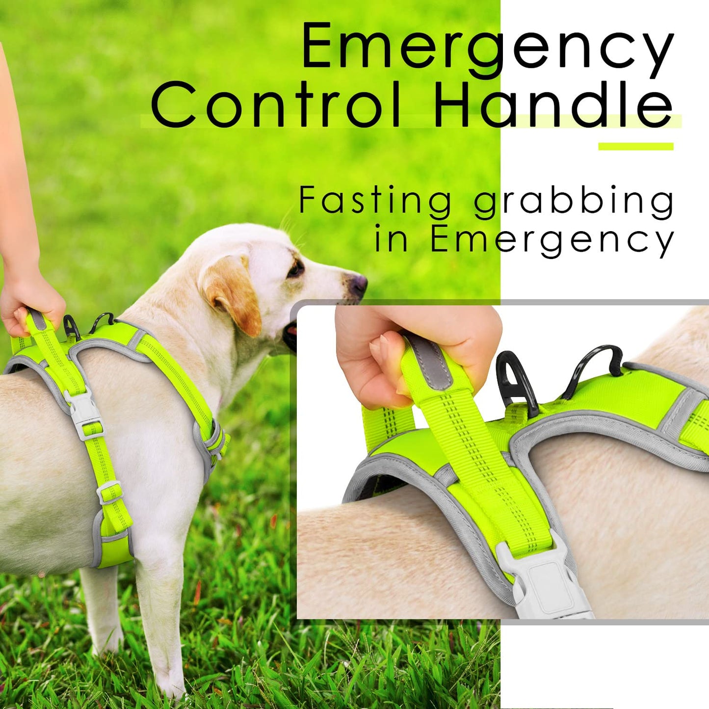 ThinkPet No Pull Harness Set Breathable Sport Harness with Handle - Reflective Padded Dog Safety Vest with Reflective Neon Dog Leash M Harness Leash Pack Green