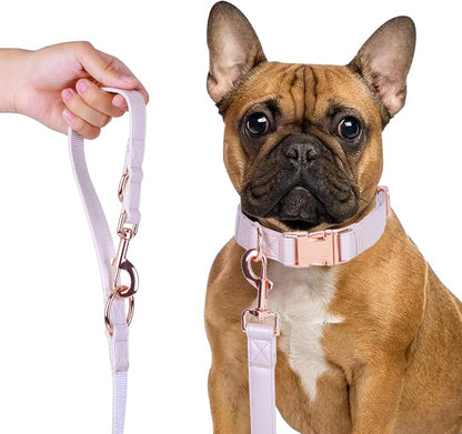 Soft Leather Dog Collar and Leash (6.6') Set - Stylish Rose Gold Heavy Duty Metal Buckle, 4 Adjustable Lengths Leash for Small Medium Large Dogs - Comfortable & Easy to Clean L(15.4"-24.8"), Gold Pink