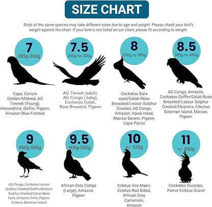 FLYPER Adjustable Mini Bird Diaper | Reusable, Washable Cloth | Comfort Fit for Parrots, Cockatiels, and Other Small Birds | Fashionable Avian Accessories Size 9