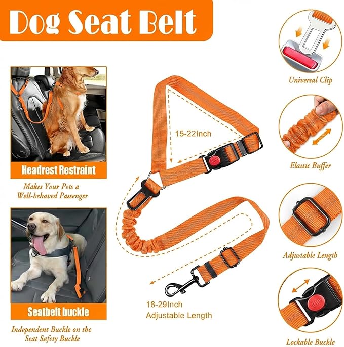 LOBEVE No Pull Dog Harness, Collar & Leash Set | Includes Dog Seat Belt, Collapsible Bowls & Poop Bag Dispenser. Ideal for Training, Walking, Hiking. Fits Small to Large Dogs(Orange-S)