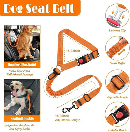 LOBEVE No Pull Dog Harness, Collar & Leash Set | Includes Dog Seat Belt, Collapsible Bowls & Poop Bag Dispenser. Ideal for Training, Walking, Hiking. Fits Small to Large Dogs(Orange-M)