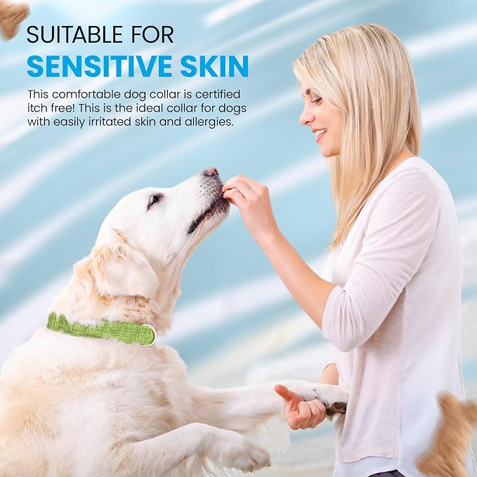 Hypoallergenic Dog Collar - Great for Sensitive Skin, Soft Collar for Dogs, Soft Organic & Earth Friendly (Small, Light Blue)