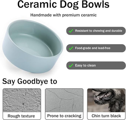 MateeyLife Ceramic Dog and Cat Bowls with Stand, 2-Pack Food and Water Bowl Set - Non-Slip Pet Bowls for Small & Medium Size Dogs，28.7OZ(Green)