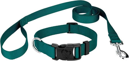 Country Brook Petz - Everyday Nylon Dog Collar and Leash - 10+ Cool Colors (3/4 Inch, Medium, Teal)