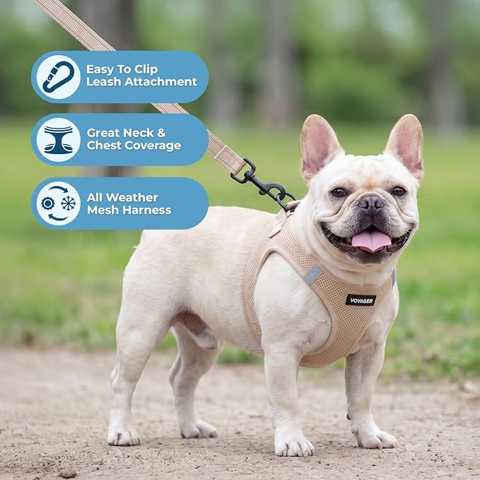 Best Pet Supplies Voyager Step-in Air All Weather Mesh Harness and Reflective Dog 5ft Leash Combo with Neoprene Handle, for Small, Medium and Large Breed Puppies - Khaki, S