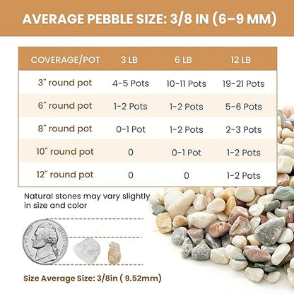 3/8 Inch Decorative Pebbles, River Rocks for Indoor Plants, Succulents, Planters, Vases, Fish Tank, Aquarium Gravel & Landscaping, Mixed Color, 3LB