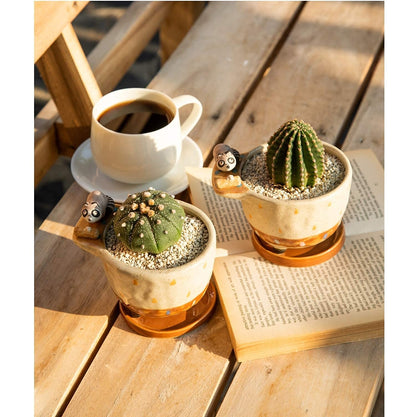 MAKOLO Ceramic Succulent Planter Small Pot with Drainage Hole and Tray for Cactus Flower Plant Container Shelf Home Office Desk Decoration (Raccoon)