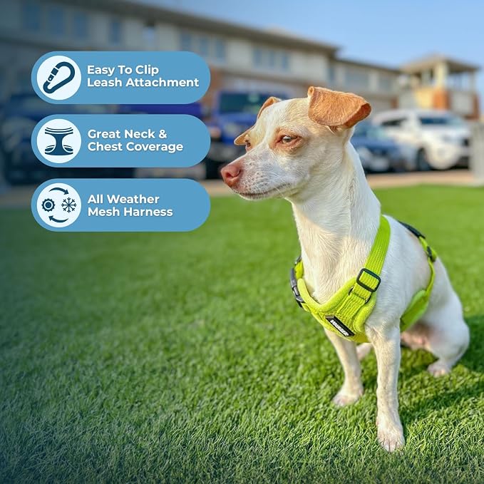 Best Pet Supplies Voyager Step-in Air All Weather Mesh Harness and Reflective Dog 5ft Leash Combo with Neoprene Handle, for Small, Medium and Large Breed Puppies - Lime Green, Small