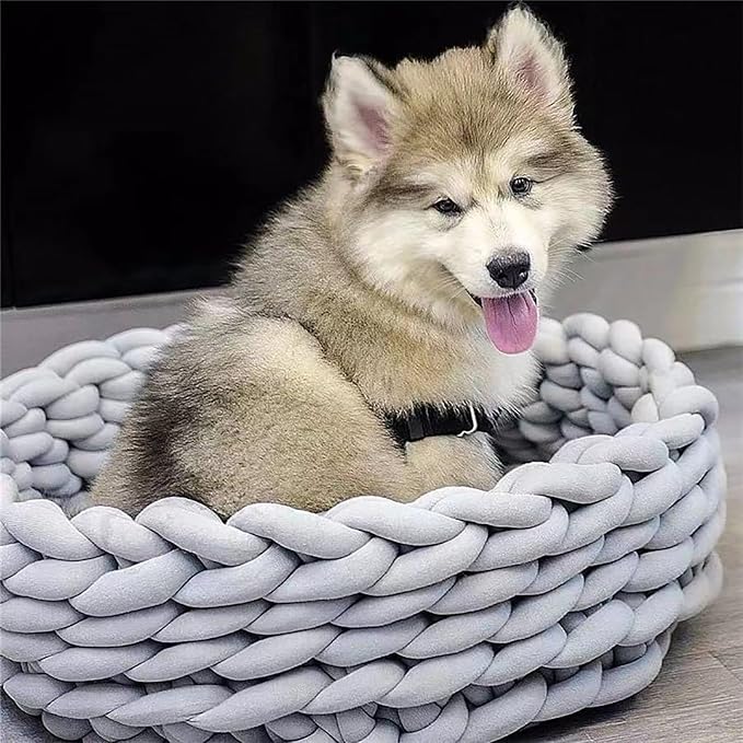 Woven Dog Bed Basket, Knitted Cotton Cat Bed Round Washable Woven Cat Pet Bed Chunky Dog Basket, Orthopedic, Chunky Knit Dog Nest,Dog Bed,Dog Cave,Dog Bedding(Green,19")
