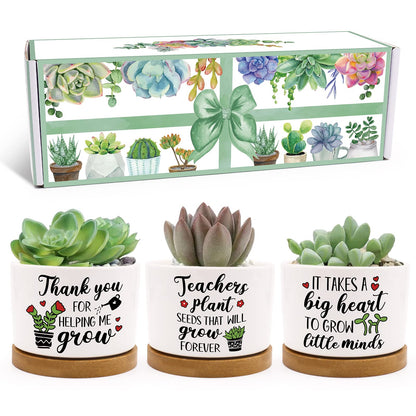 Tuitessine Teachers Gift for Women Men Teacher Appreciation Succulent Planters Pots Back to School Best Teacher Birthday Retirement Gifts Mini Ceramic Planter Pot with Gift Box (NO Plants)
