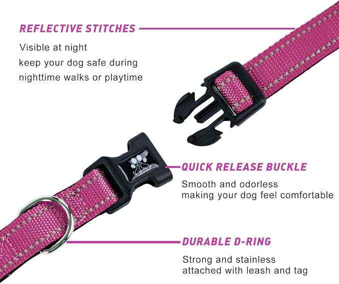 FURRYFECTION Reflective Dog Collar and Leash Set With Quick Release Buckle, Padded Neoprene Adjustable Nylon for Small Medium and Large Dogs (Small Collar+5FT Leash, Hot Pink)