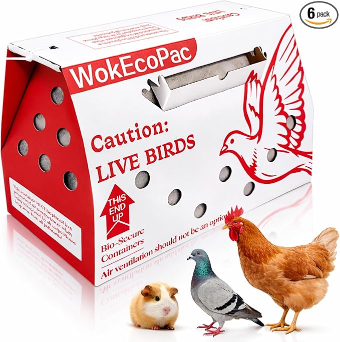 6 Pack Poultry Shipping Boxes, Live Bird Shipping Boxes, Poultry Carrier Crate has Ventilation Openings, Portable Bird Travel Bag, for Poultry Chicken Bird Duck - Size 17.7" x 7.8" x 11.8"