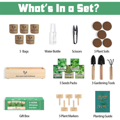 Indoor Herb Garden Starter Kit, Including A Complete Gardening Tools for Women Parents Gift