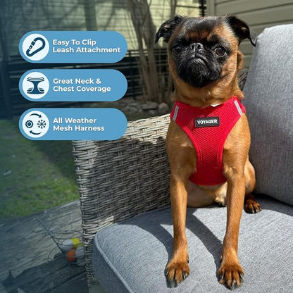 Best Pet Supplies Voyager Step-in Air All Weather Mesh Harness and Reflective Dog 5ft Leash Combo with Neoprene Handle, for Small, Medium and Large Breed Puppies - Red, Small