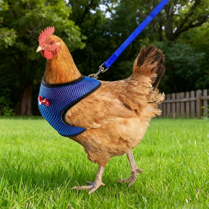 Chicken Harness and Leash Set Adjustable Mesh Breathable Duck Training Harness Pets Leashs for Goose Hen Rooster Parrots Dog Kitten, Purple L