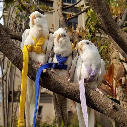 Adjustable Bird Harness with Elastic Leash, Pet Parrot Harness and Leash, Adjustable Training Design Anti-Bite, Bird Nylon Rope with Cute Wing for Conure (Purple,L)