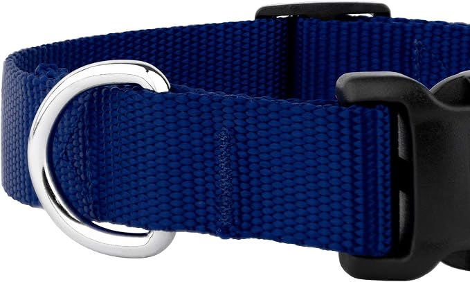 Country Brook Petz - Everyday Nylon Dog Collar and Leash - 10+ Cool Colors (1 Inch, Extra Large, Royal Blue)