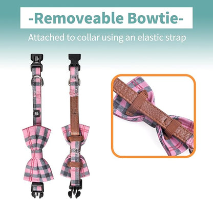 IVY&LANE Dog Collar with Bowtie and Leash Set | Plaid Adjustable Dog Collar | Detachable Bow Tie |5 FT Dog Leash | for Small Medium Large Dogs | Checkered Pink | X-Small