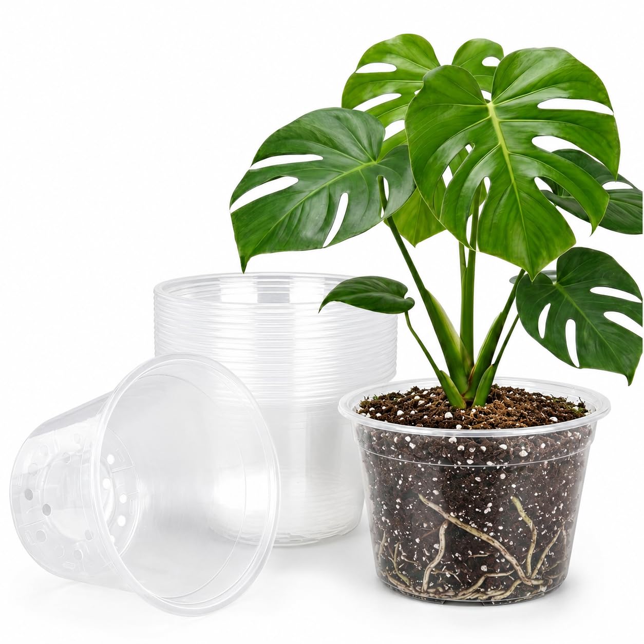 TAQIXI 2 Gallon Clear Nursery Pots 15 Pack, 8 Inch Large Plastic Plant Pots with Drainage Holes, Transparent Planters for Root Monitoring, Seedlings, Vegetables, Flower, Indoor Outdoor