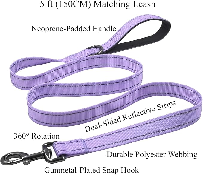 Dog Collar Leash Set, with Relfective Strips, Lilac Purple, Large. | Adjustable Collar,5 ft Matching Leash,Neoprene Padded Handle.