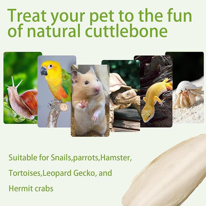 4.3"-4.7" Cuttlebone for Birds,Parakeets Cuddle Bone Beak Trimming,Premium Calcium Natural Cuttlefish Bone for Parrot,Cockatiel,Budgie,Tortoise, Snails,Reptiles,20 Pcs