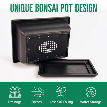 REALPETALED Bonsai Starter Kit – Japanese Bonsai Tree Kit 7 Seeds Pots – Complete Grow Your Own – Plant Lover Gifts Home Gifts for Men and Women