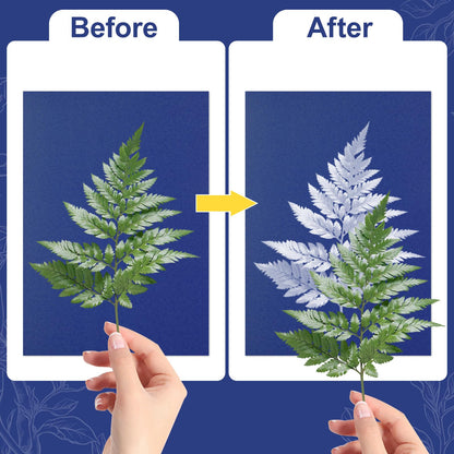 gisgfim Sun Cyanotype Printing Paper Kit A4 A5 A6 4 inch Paper 100 Sheets with 2 Sheet PVC Board and 1 Pc Manual High Sensitive Nature Solar Activated UV Sun Printing for Arts DIY Crafts Project