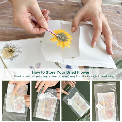 KAXYEW Mini Flower Press Kit, 3.9"x3.9" Wooden Flowers Pressing Boards DIY Pressed Flowers Art - Fridge Magnet Bookmark Art Craftst Presservation Gifts for Flower Plant Lovers