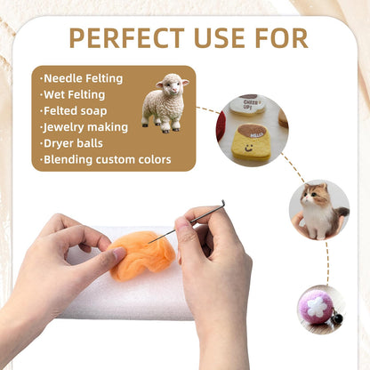 Flylin Needle Felting Wool, 10 Colors Wool Roving Yarn for Beginners and Wet Felting, 2g/Colour Fibre Wool Roving for DIY Craft/Spinning/Wall Hangings/Tapestry (25 Colors)
