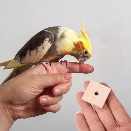 NOLITOY Parrot Toys: 100PCS Wooden Chewing Blocks, Thick Natural Wood for Bird Chew Training, DIY Cage Toys for Parakeet Budgie Conure Macaw Cockatoo