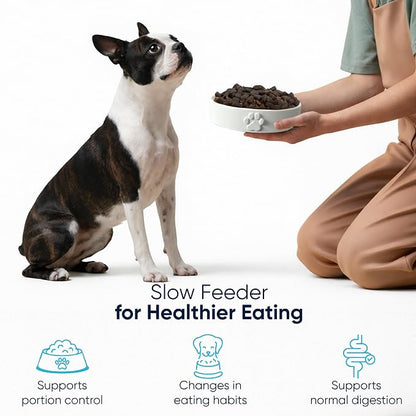 Slow Feeder Dog Bowls – 1.5-Cup Ceramic Dog Bowl Slow Feeder – Microwaveable Dog Slow Feeder for Small and Medium Dogs – Lead and BPA-Free Ceramic Pet Bowl – Pet Feeder for Fast Eaters
