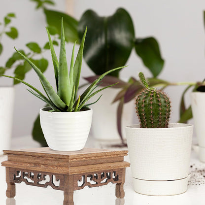 Beavorty Wooden Flower Pot Base 5.51In Rustic Plant Stand Holder for Indoor Outdoor Garden Display Pedestal