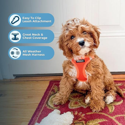 Best Pet Supplies Voyager Step-in Air All Weather Mesh Harness and Reflective Dog 5ft Leash Combo with Neoprene Handle, for Small, Medium and Large Breed Puppies - Orange, XX-Small