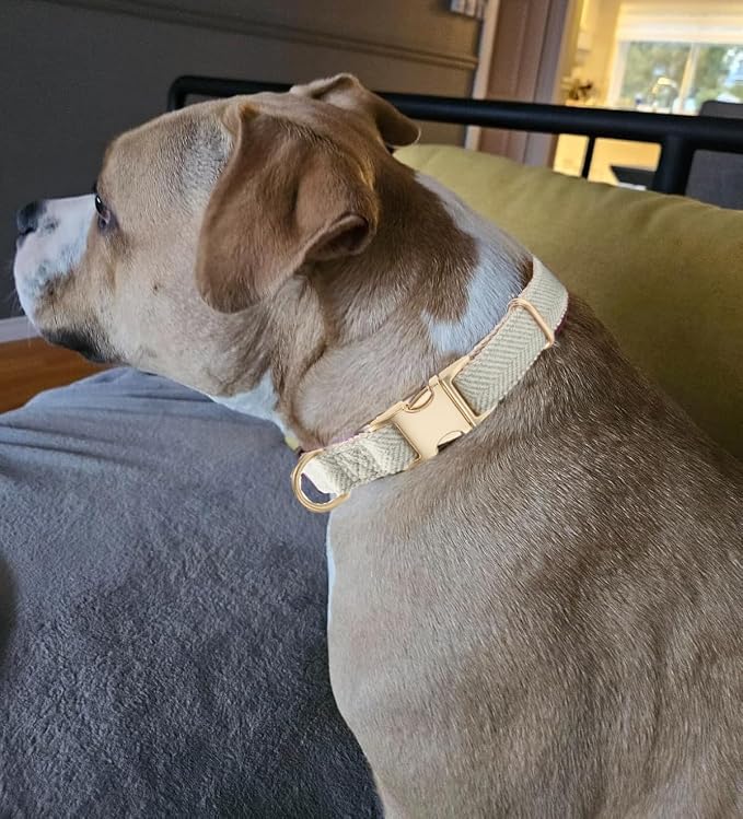 Luxury Soft Cotton Tweed Fabric Dog Collar & Leash Set with Gold Buckle – Durable Fabric, Stylish Design for Everyday Walks(Medium Grey)