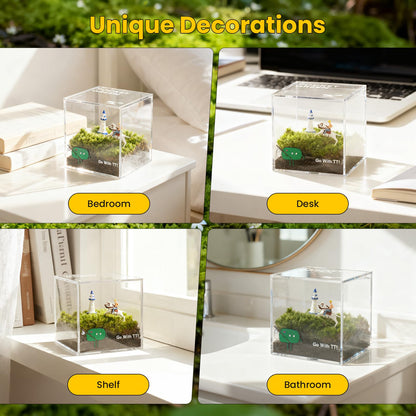 DIY Moss Terrarium Kit, 4 * 4 * 4 inch Acrylic Cube Mini Garden with Live Star Moss, Soil, Boundless Fortune-Craft Kit for Adults and Teens, Relaxing Desk Decor & Unique Gift for Home or Office