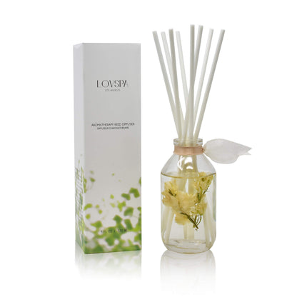 LOVSPA Reed Diffuser Set, Smoked Vanilla Scented Oil Diffuser with Sticks, Home Fragrance Accessories for Bathroom Shelf Decor, Aroma Diffusers for Home or Office Fall Decor, USA Made