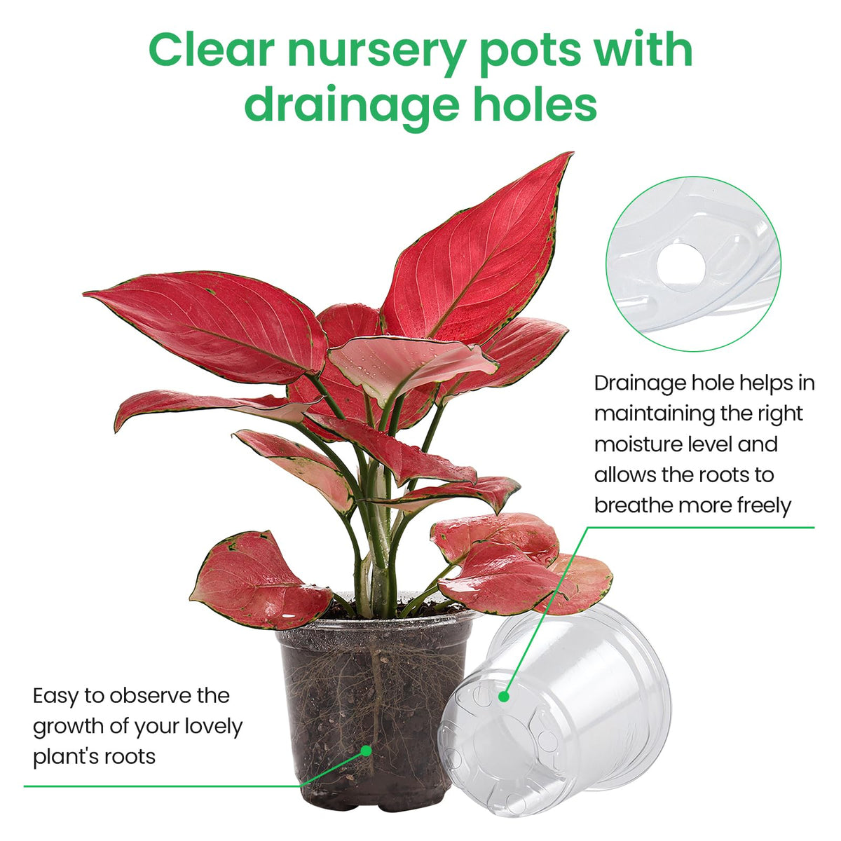 Bluepro 36 Packs 7/5/4/3.5 Inch Reinforced Clear Nursery Pots with Drainage Hole, Transparent Variety Pack Plastic Plant Pot Seedling Planter for Vegetable Propagation, Root Cutting, Seed Starting