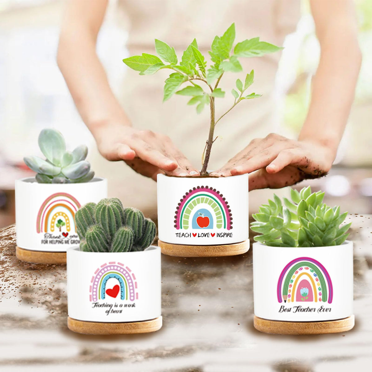 emzrivo 4 Pcs Teacher Appreciation Gifts Funny Ceramic Succulent Plant Pot Teacher Planter Pot Thank You Gifts for Coworker Teacher Valentines Birthday Gift, Plants Not Included
