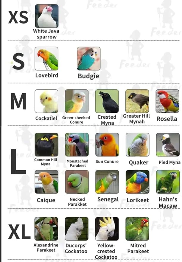 Bird Costume Flight Suit Clothes Cosplay Photo Prop for Parrots Parakeet Cockatiel Sun Conure, Hoodie Small Animals Apparel (Red, Large), Green (BPF1)