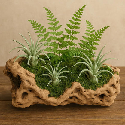 Koyal Wholesale 10" Hollow Grapewood Branch Decor 1Pcs Grapewood Centerpiece Vase Air Plants Sand Blasted Grapevine Wood Untreated Terrarium Wood Driftwood Decor